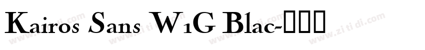 Kairos Sans W1G Blac字体转换